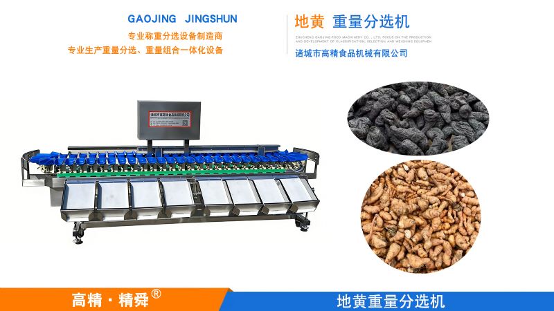 精分黃精，智賦珍品 —— 諸城高精黃精重量分選機(jī)，重塑中藥材分選新標(biāo)準(zhǔn)